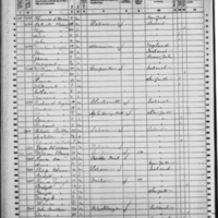 Mary Harkin; 1860 Census (1)