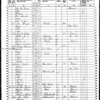 Patrick Brenan; 1860 Census