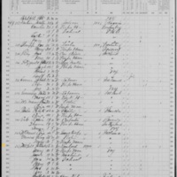 Patrick McGill; 1870 Census
