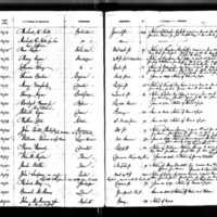 Ann Roche's Test Book