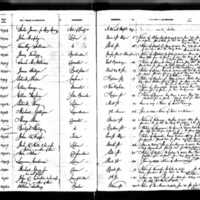 Maria and Patrick Phelan's Test Book (2)