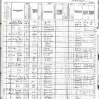 Ann Fagen; 1880 Census (2)