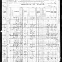 Patrick Keady; 1880 Census
