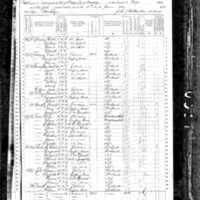 Margaret Flaherty; 1870 Census
