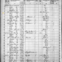 Mary Hartigan; 1860 Census