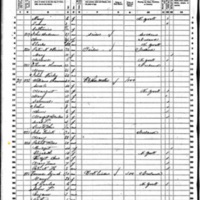 Bridget Wild; 1860 Census