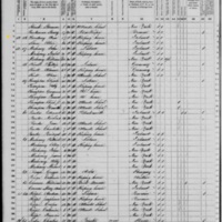 Ann Dowdney; 1870 Census