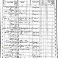 Thomas Cobbe; 1870 Census
