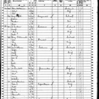 John Fallon; 1860 Census