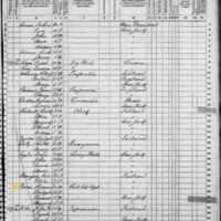 Thomas E. Foran; 1870 Census
