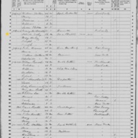 Patrick Foley; 1860 Census