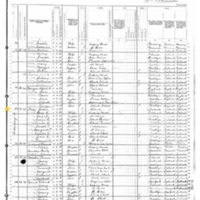 John Daly; 1880 Census