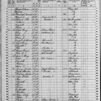 Mary McAuliffe; 1860 Census
