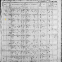 Maurice Flynn; 1855 Census
