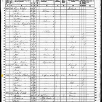 Mary and Michael Mahoney; 1860  Census