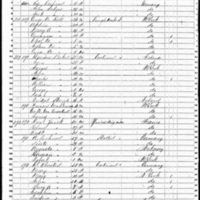 Robert Maguire; 1850 Census