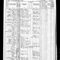 Mary and Patrick Brogan; 1870 Census (2)