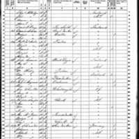 Elizabeth and Patrick McArdle; 1860 Census