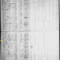 Bridget O'Donnell on Ship Manifest