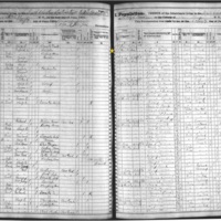 Elizabeth Smith; 1875 Census