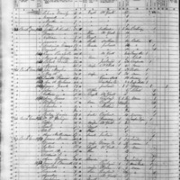 Martha Wiley; 1855 Census