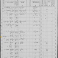 Timothy Woods; 1870 Census