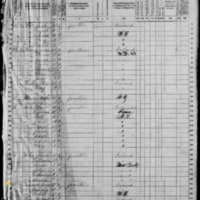 James Drummond; 1870 Census