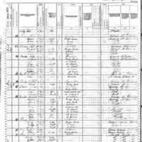 Ann Fagen; 1880 Census (1)