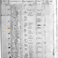Ellen Corcoran; 1855 Census