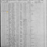 Bridget Clifford; 1855 Census