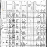 Henry Brennan, Surviving Family Members; 1880 Census (2)