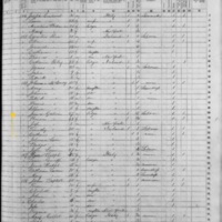 Timothy Gallivan; 1855 Census