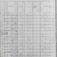 Thomas Garvey; 1880 Census