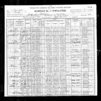Patrick Keady; 1900 Census