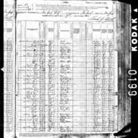 Ann Roche; 1880 Census