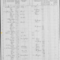 Denis Sullivan; 1870 Census