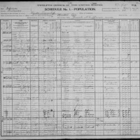 Bartholomew Finn; 1900 Census