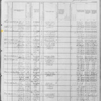 John Hanigan; 1880 Census