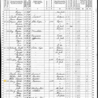 Patrick Barry; 1870 Census