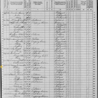 Ellen Toomey; 1870 Census