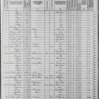 Martin White; 1870 Census