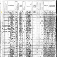 William Gleeson; 1880 Census