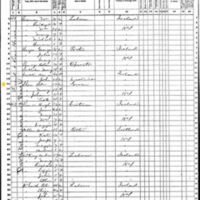 Peter and Mary Shea; 1870 Census
