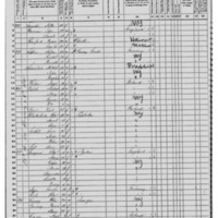Michael Connolly; 1870 Census (1)