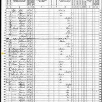 Mary Carlin; 1870 Census