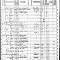 Patrick Crowe; 1870 Census