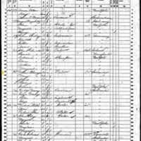 Michael Flanigan; 1860 Census