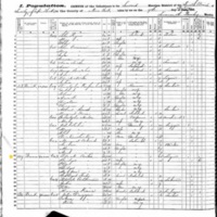 Bridget Wild; 1855 Census
