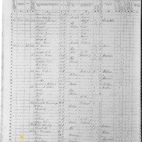 Mary Flanigan; 1855 Census