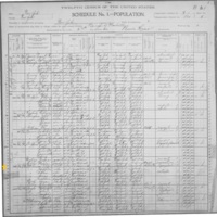 Peter McGinness; 1900 Census